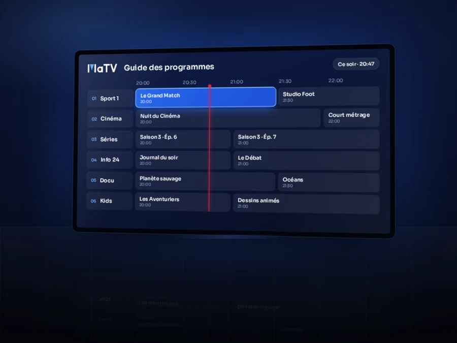 Guide des programmes (EPG)